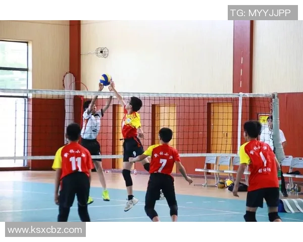 重庆排球队区域防守分析与改进建议探讨