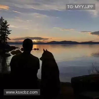 韦岑魁